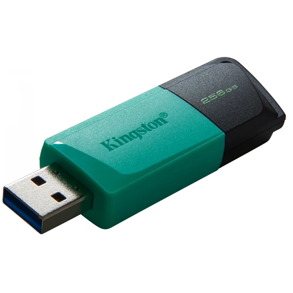 KINGSTON USB