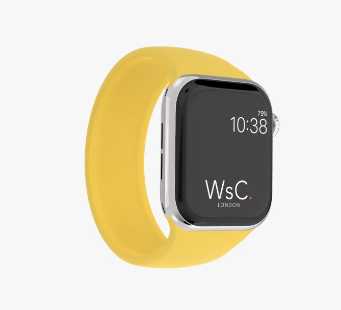 Apple Watch Elastic Band